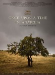 bir zamanlar anadoluda